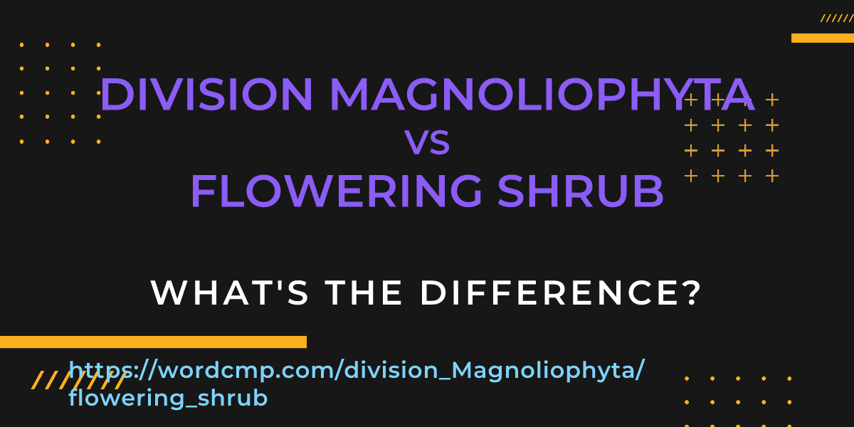 Difference between division Magnoliophyta and flowering shrub