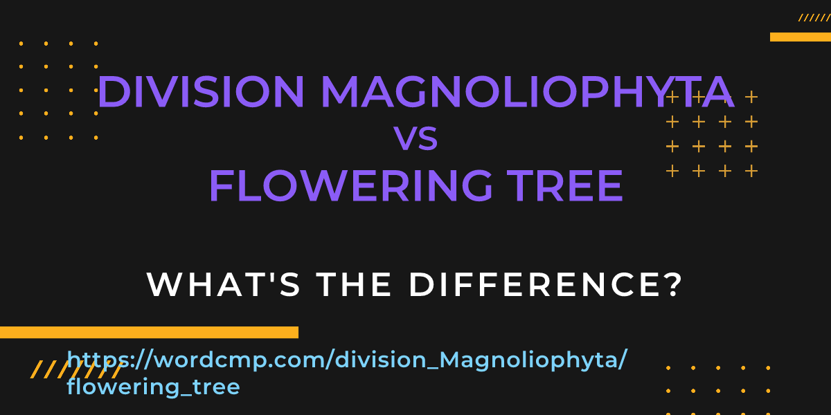 Difference between division Magnoliophyta and flowering tree