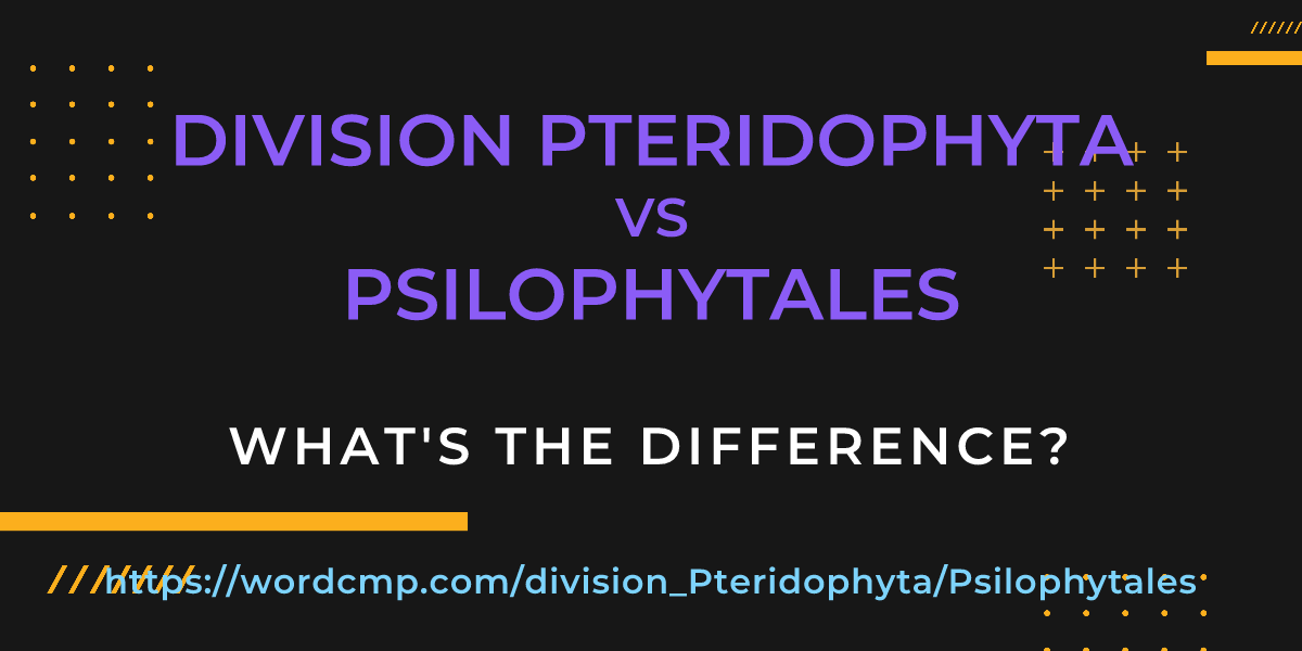 Difference between division Pteridophyta and Psilophytales