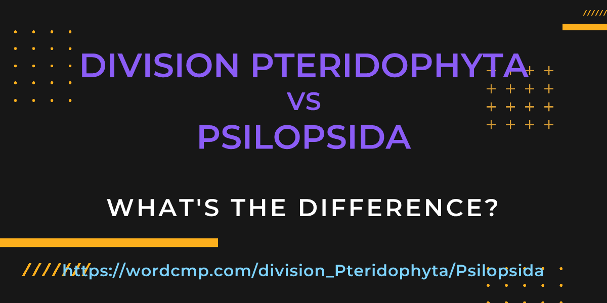 Difference between division Pteridophyta and Psilopsida