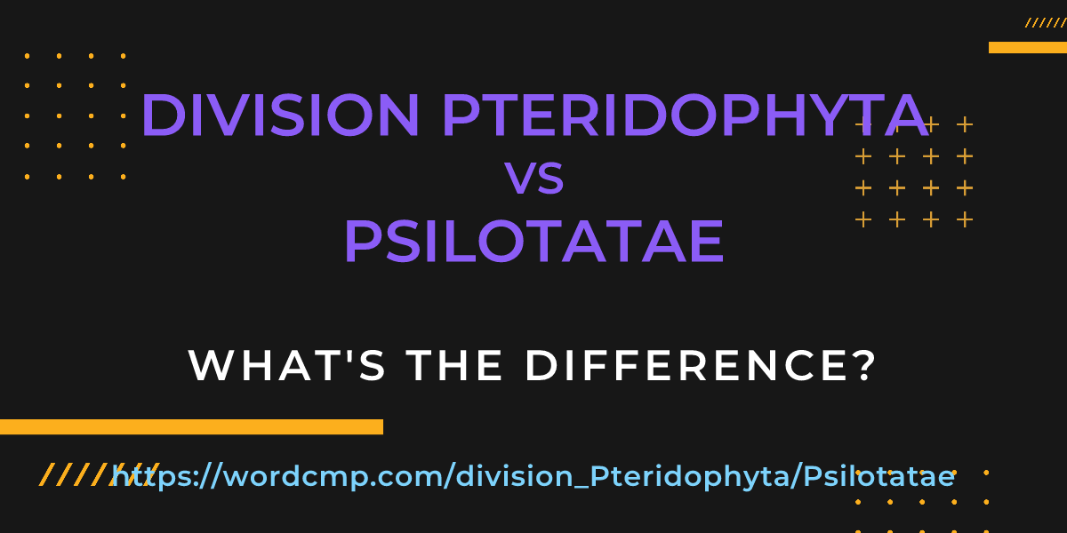 Difference between division Pteridophyta and Psilotatae