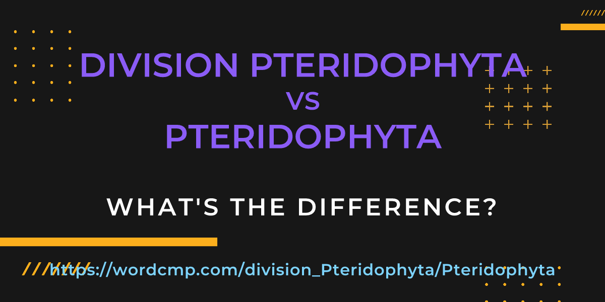 Difference between division Pteridophyta and Pteridophyta