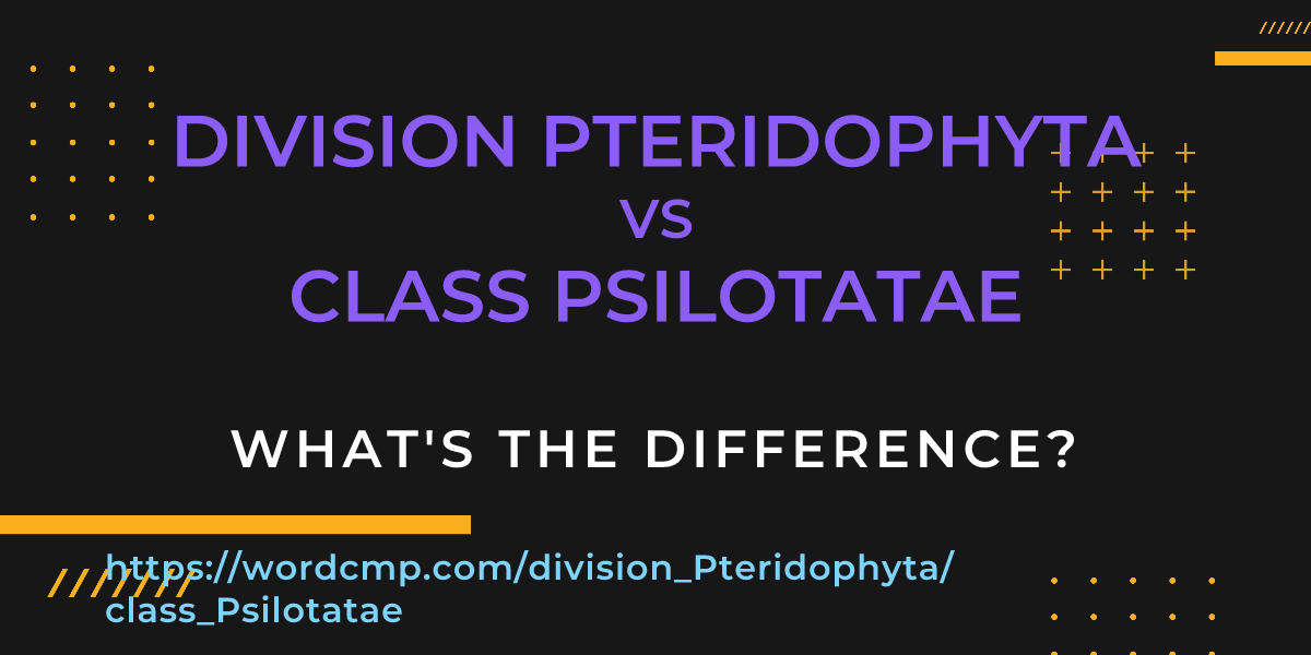 Difference between division Pteridophyta and class Psilotatae