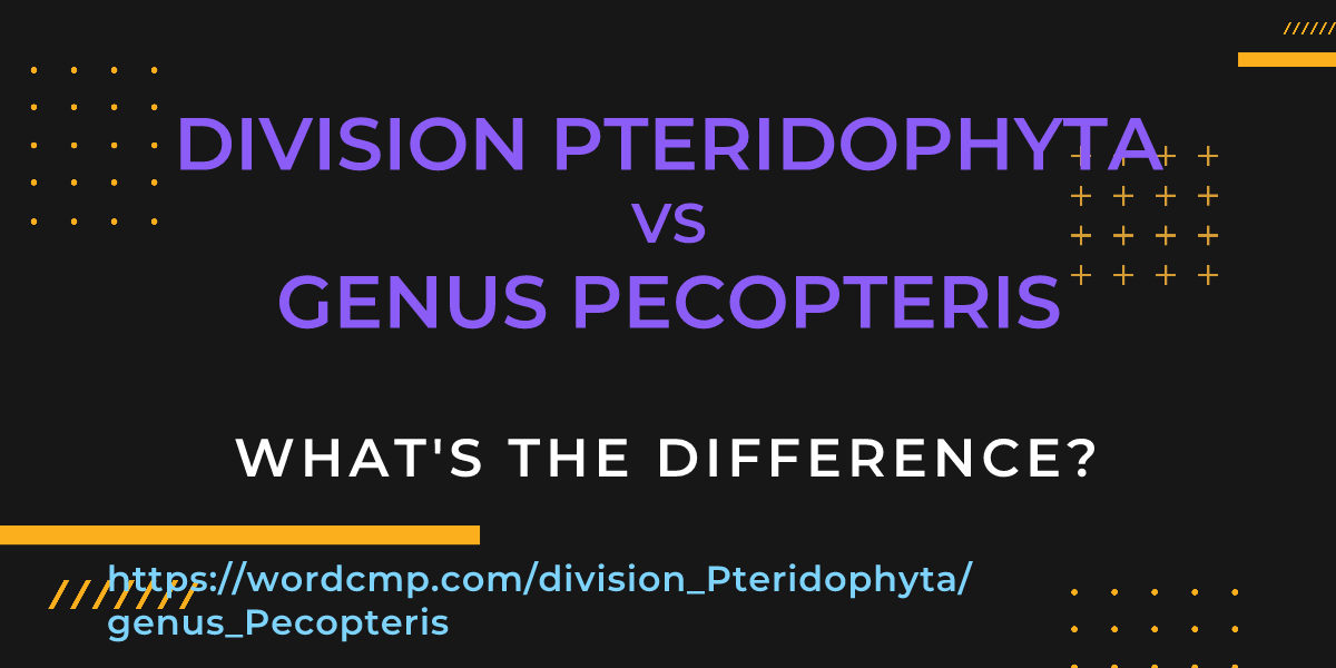 Difference between division Pteridophyta and genus Pecopteris