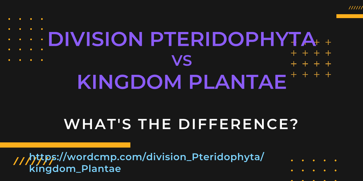 Difference between division Pteridophyta and kingdom Plantae