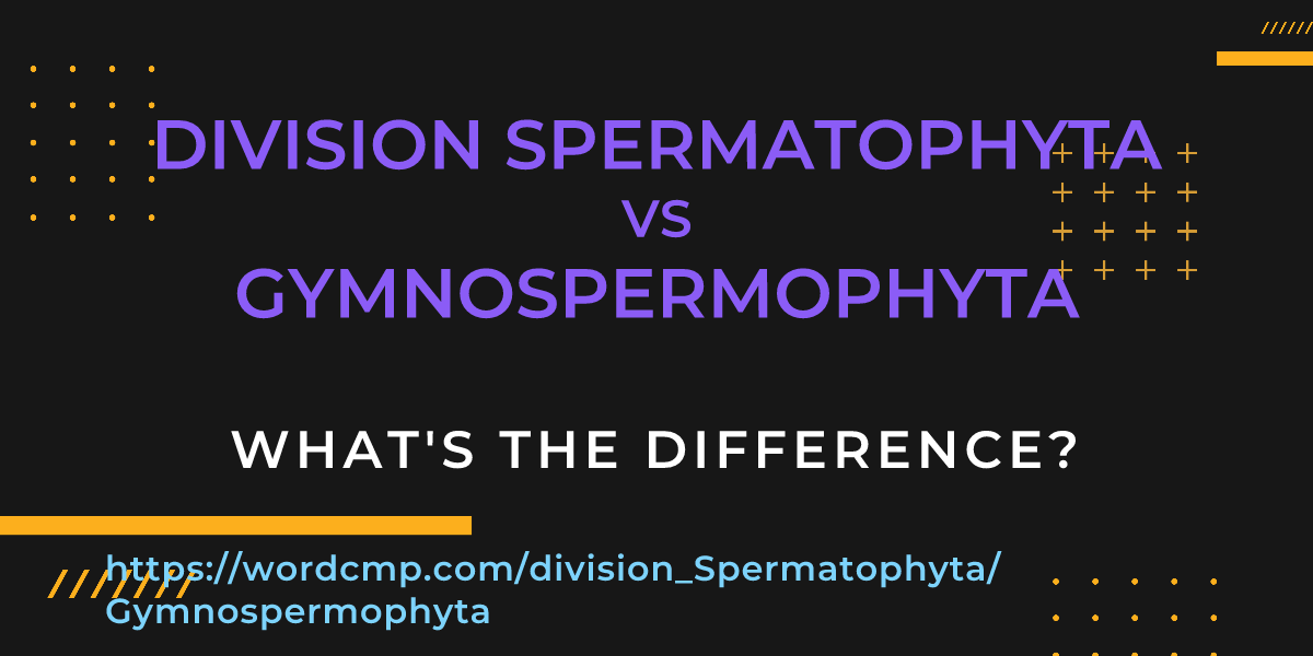 Difference between division Spermatophyta and Gymnospermophyta