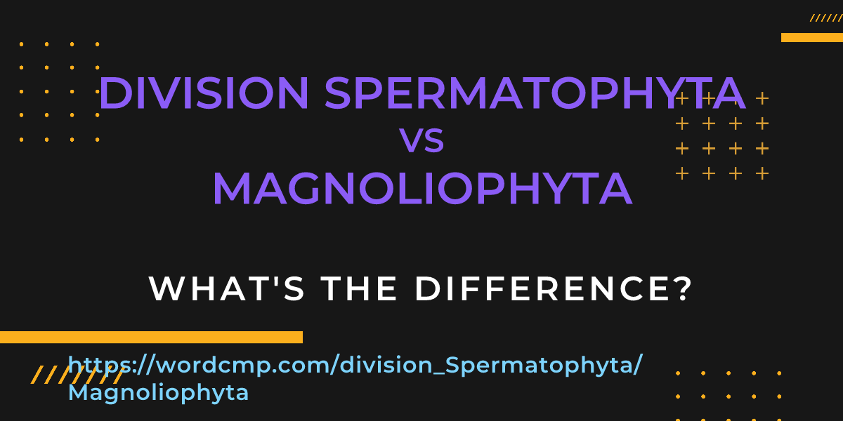 Difference between division Spermatophyta and Magnoliophyta