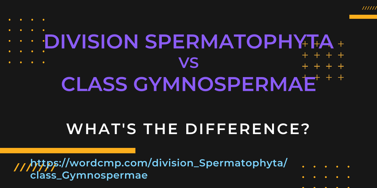 Difference between division Spermatophyta and class Gymnospermae