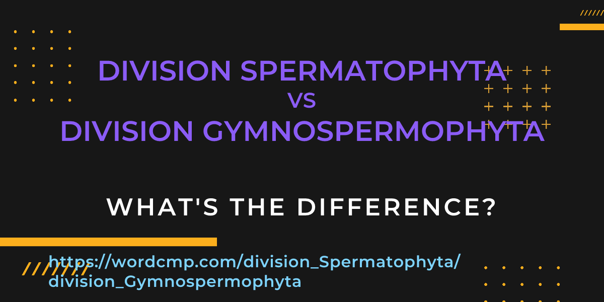 Difference between division Spermatophyta and division Gymnospermophyta