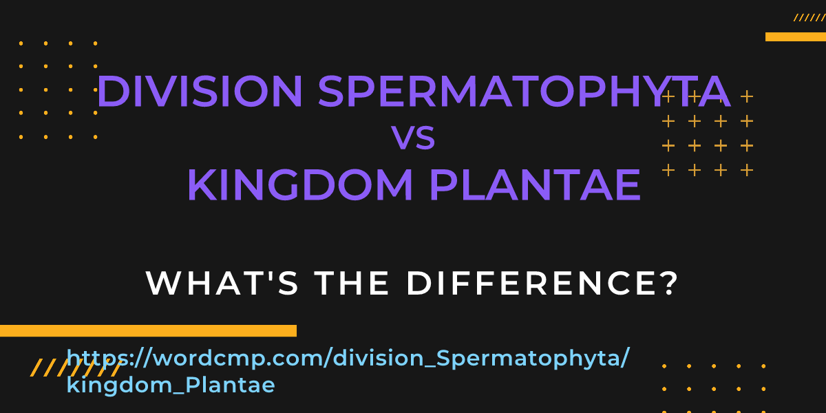 Difference between division Spermatophyta and kingdom Plantae