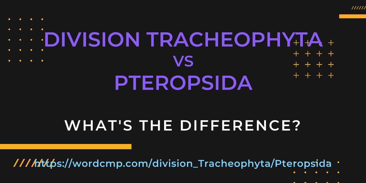 Difference between division Tracheophyta and Pteropsida