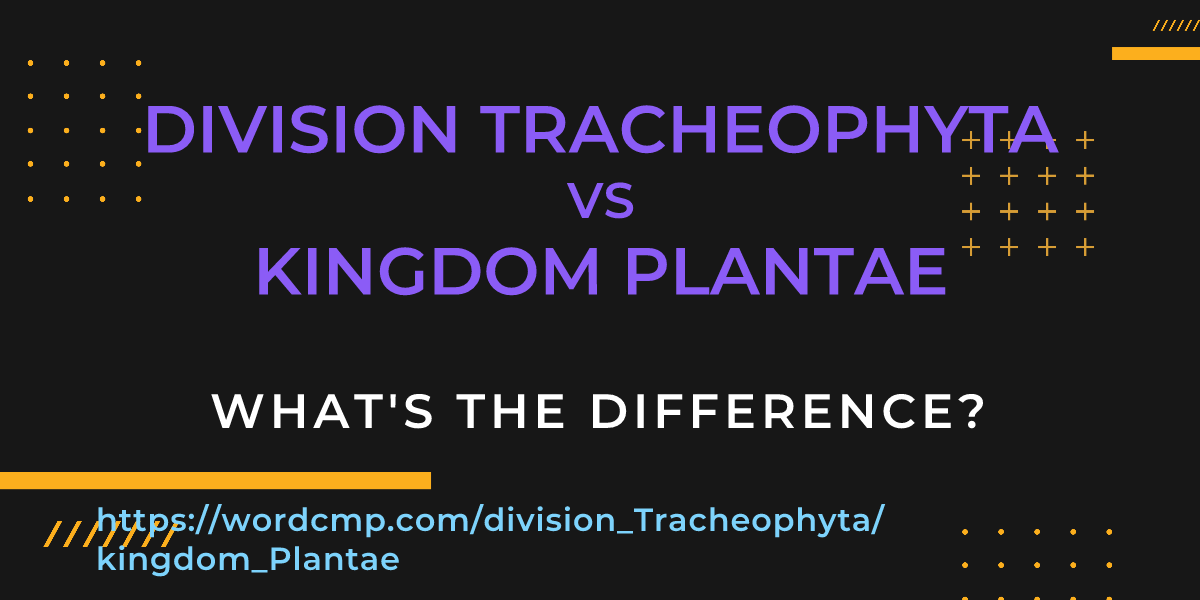 Difference between division Tracheophyta and kingdom Plantae
