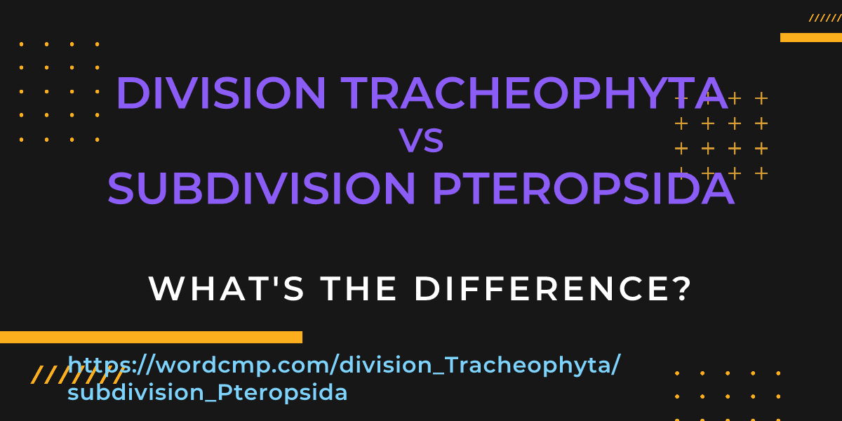 Difference between division Tracheophyta and subdivision Pteropsida