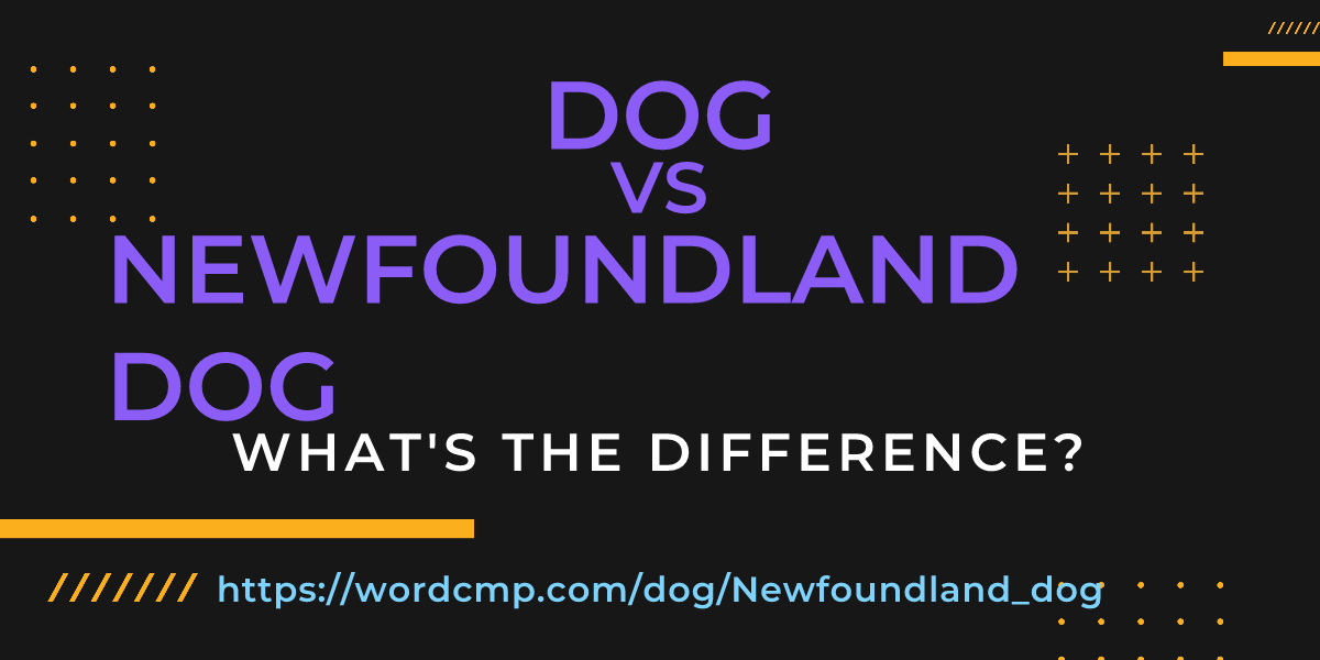 Difference between dog and Newfoundland dog