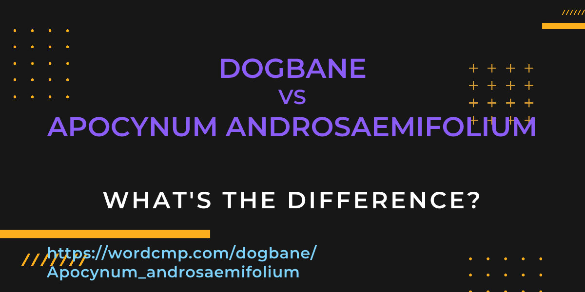 Difference between dogbane and Apocynum androsaemifolium