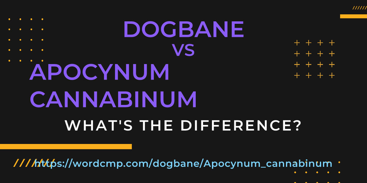 Difference between dogbane and Apocynum cannabinum