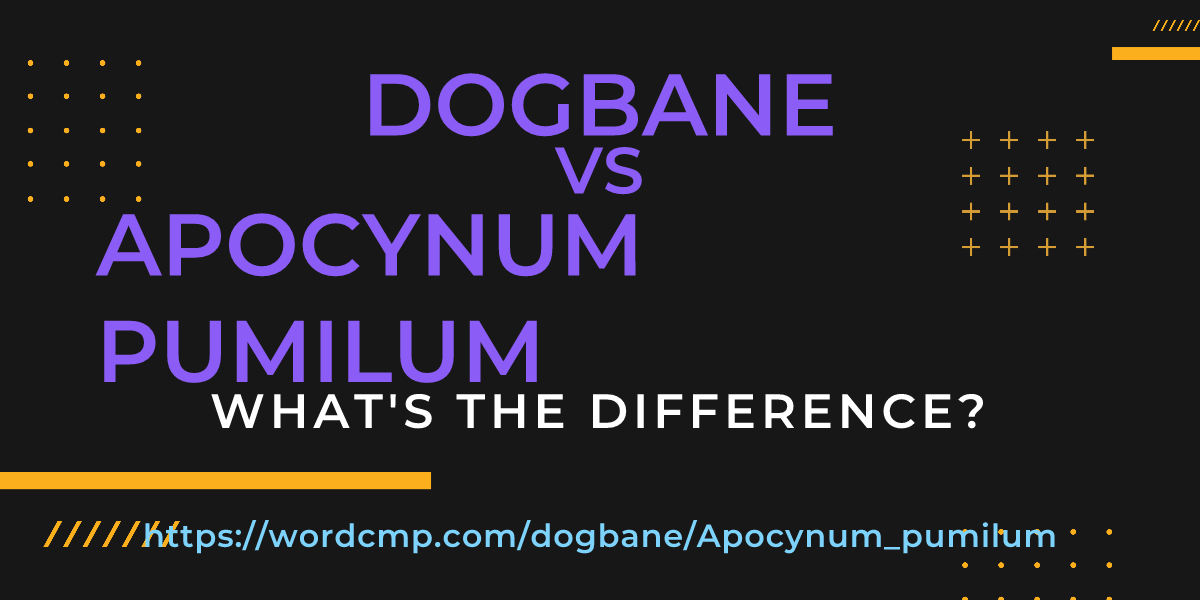 Difference between dogbane and Apocynum pumilum