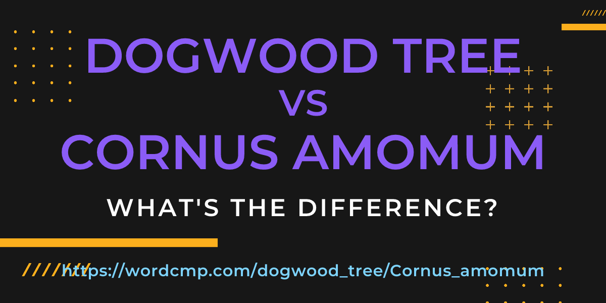 Difference between dogwood tree and Cornus amomum