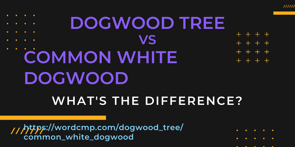 Difference between dogwood tree and common white dogwood