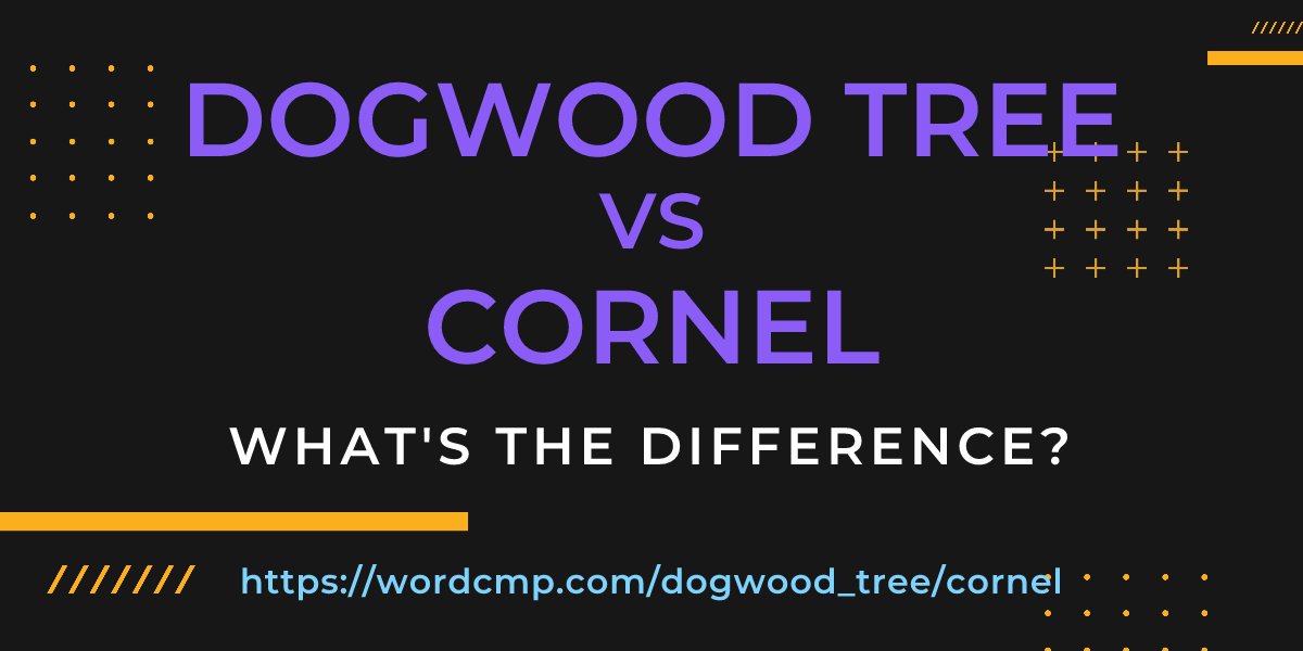 Difference between dogwood tree and cornel