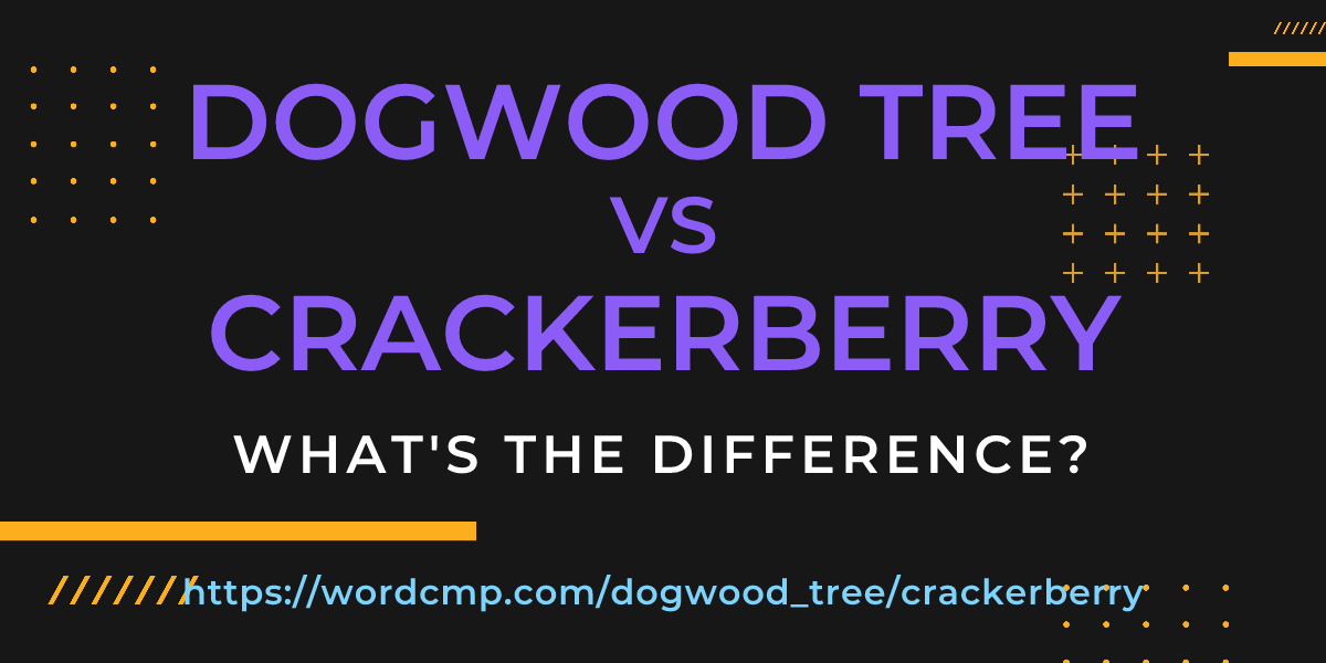 Difference between dogwood tree and crackerberry