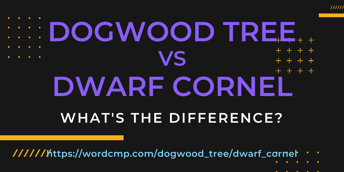 Difference between dogwood tree and dwarf cornel