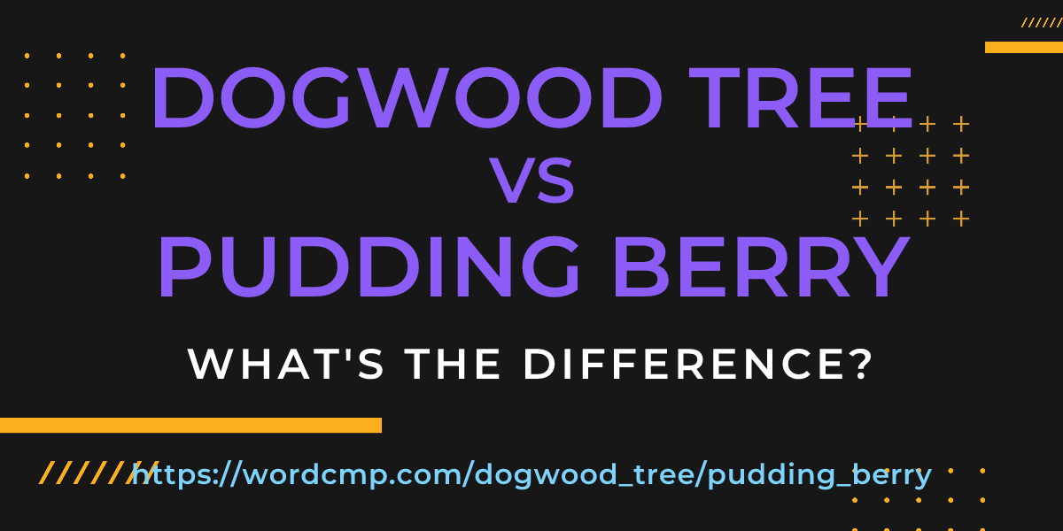 Difference between dogwood tree and pudding berry
