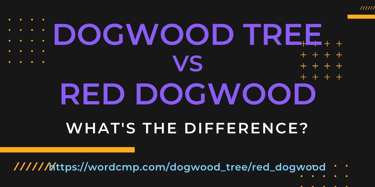 Difference between dogwood tree and red dogwood