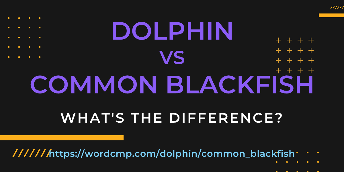 Difference between dolphin and common blackfish