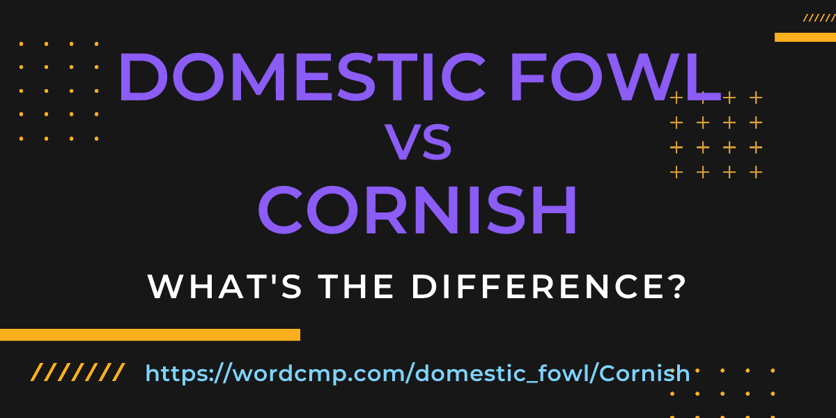 Difference between domestic fowl and Cornish