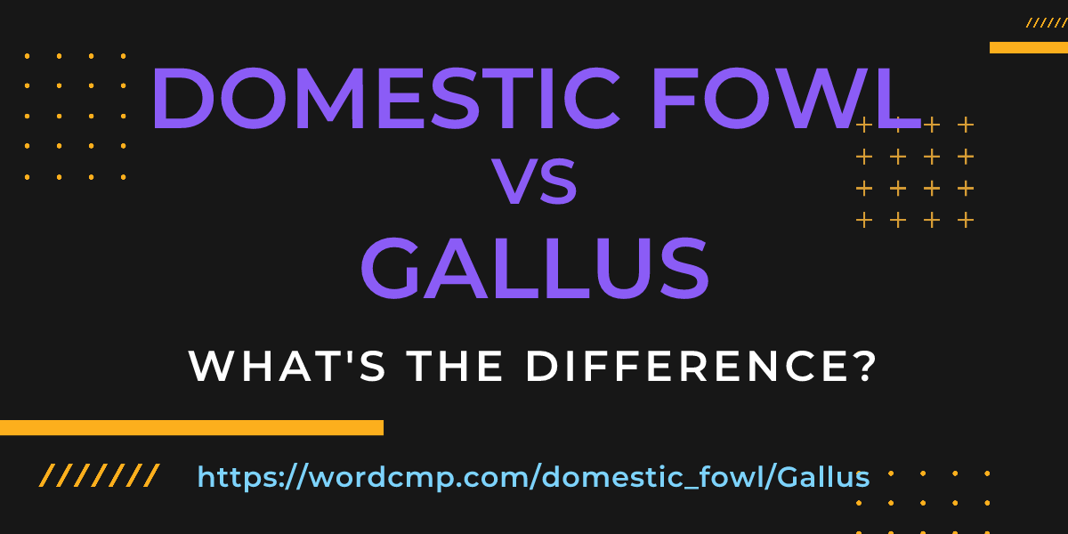 Difference between domestic fowl and Gallus