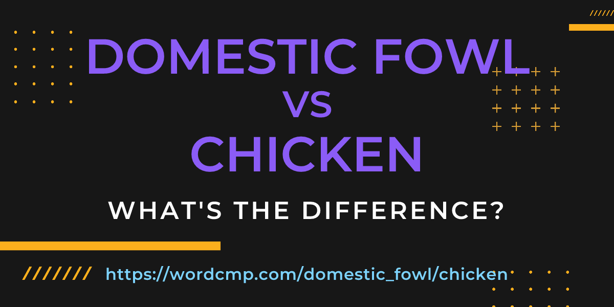 Difference between domestic fowl and chicken