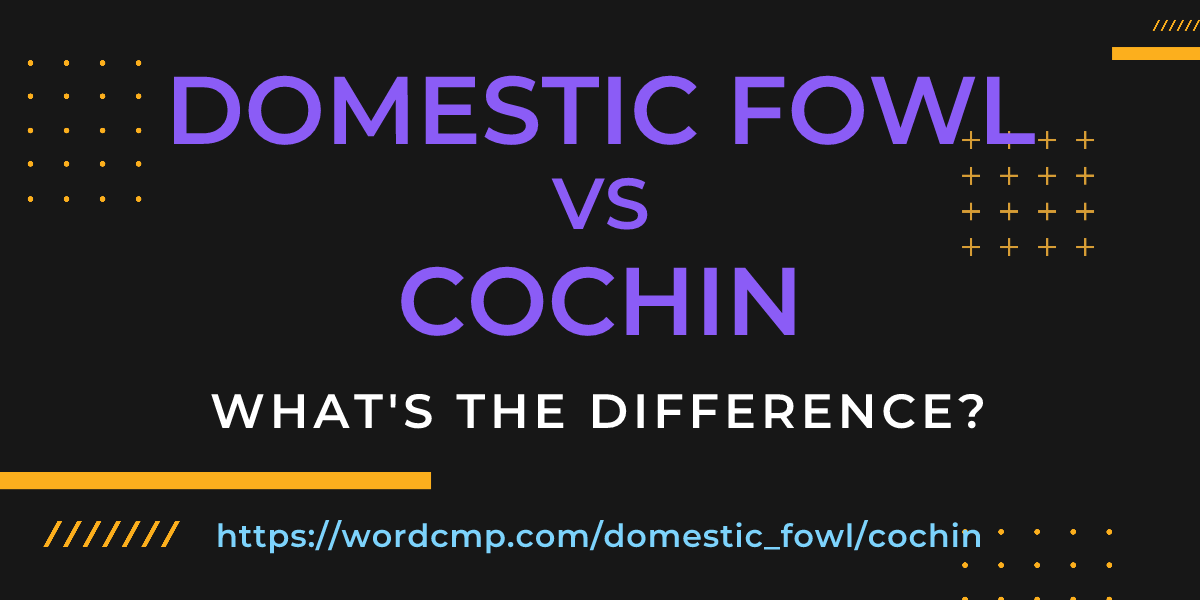 Difference between domestic fowl and cochin