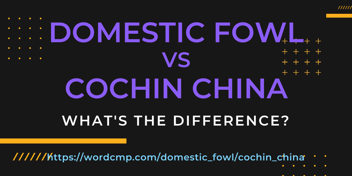 Difference between domestic fowl and cochin china