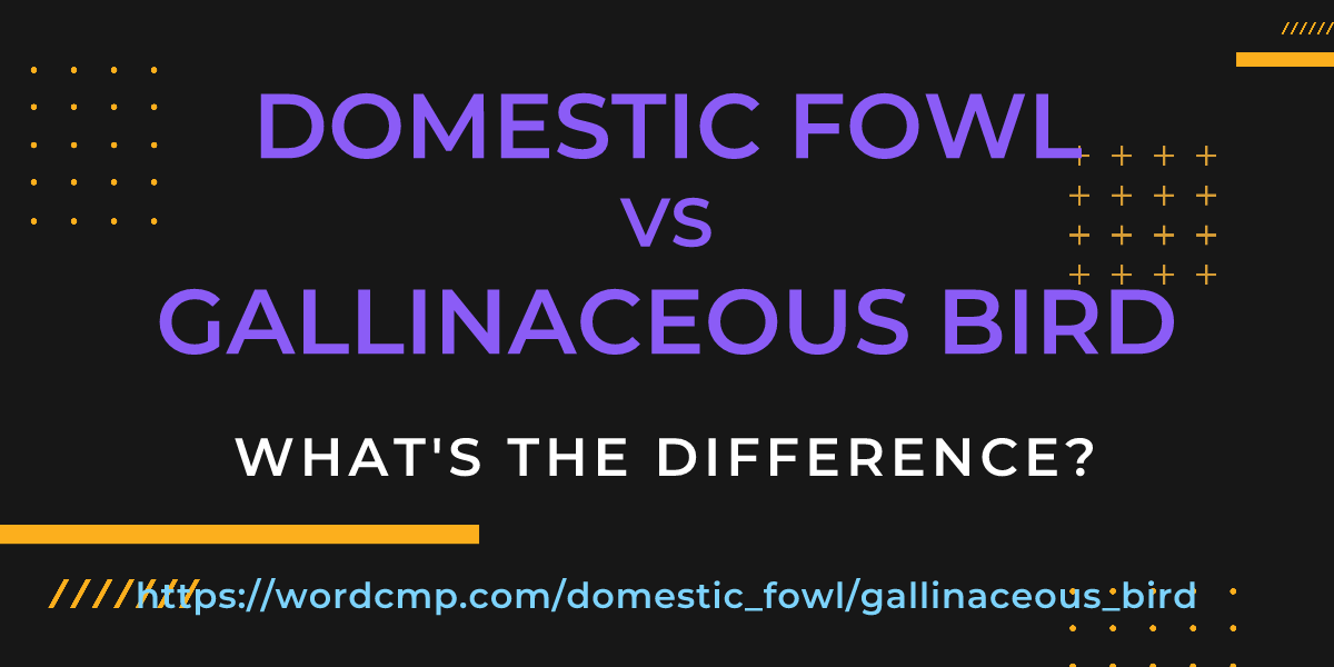 Difference between domestic fowl and gallinaceous bird