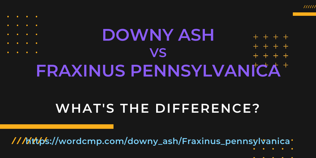 Difference between downy ash and Fraxinus pennsylvanica