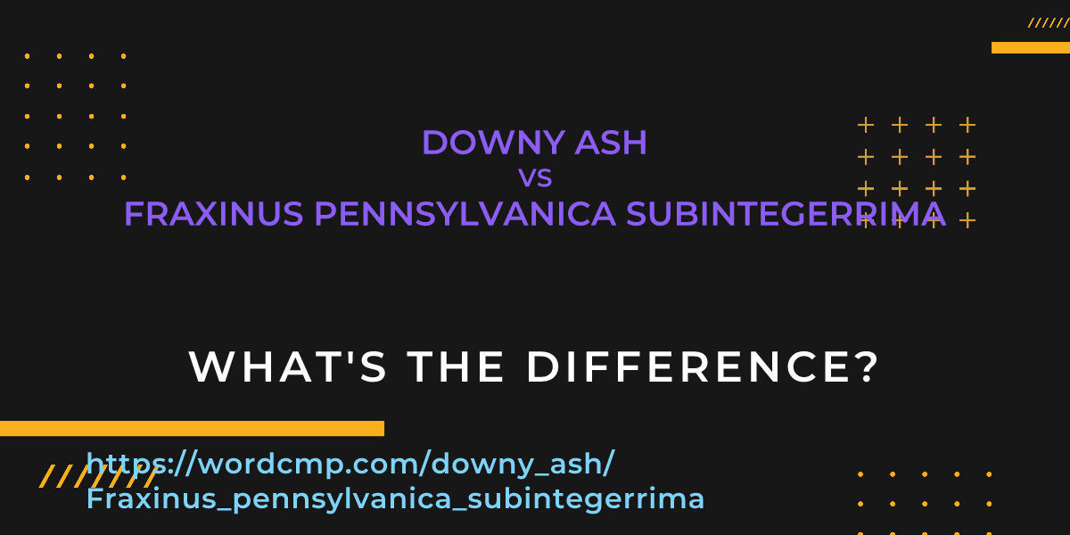Difference between downy ash and Fraxinus pennsylvanica subintegerrima