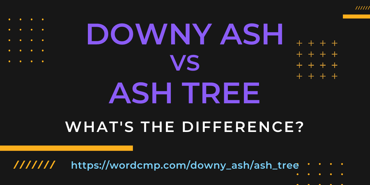 Difference between downy ash and ash tree