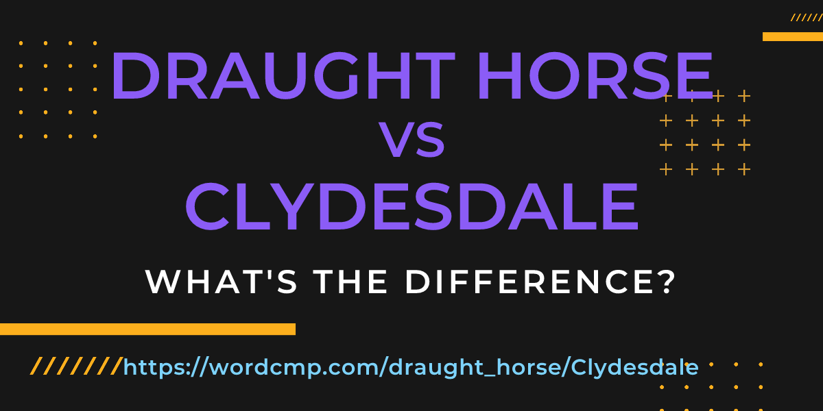 Difference between draught horse and Clydesdale