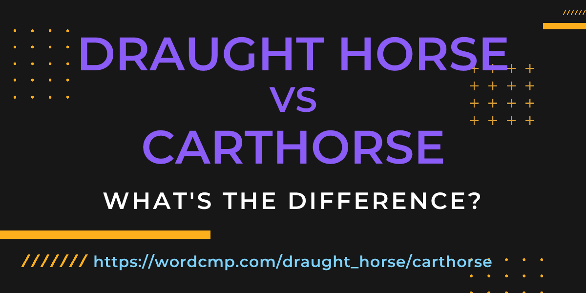 Difference between draught horse and carthorse
