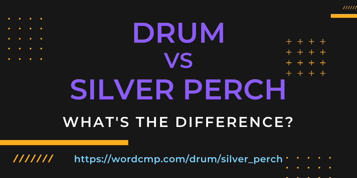 Difference between drum and silver perch