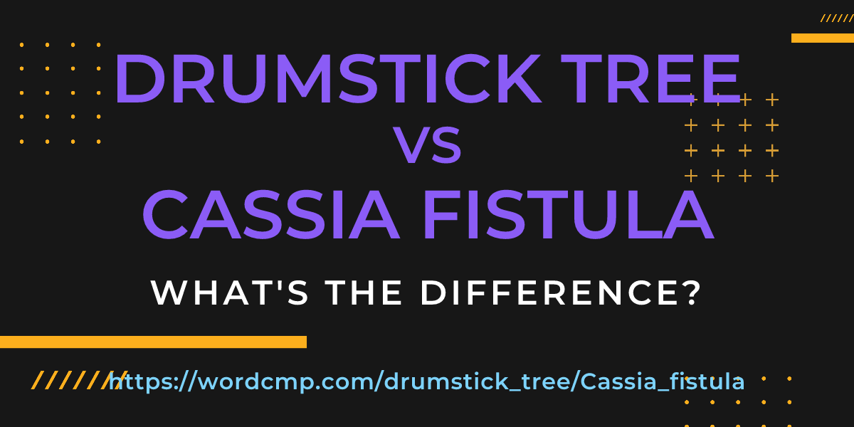 Difference between drumstick tree and Cassia fistula
