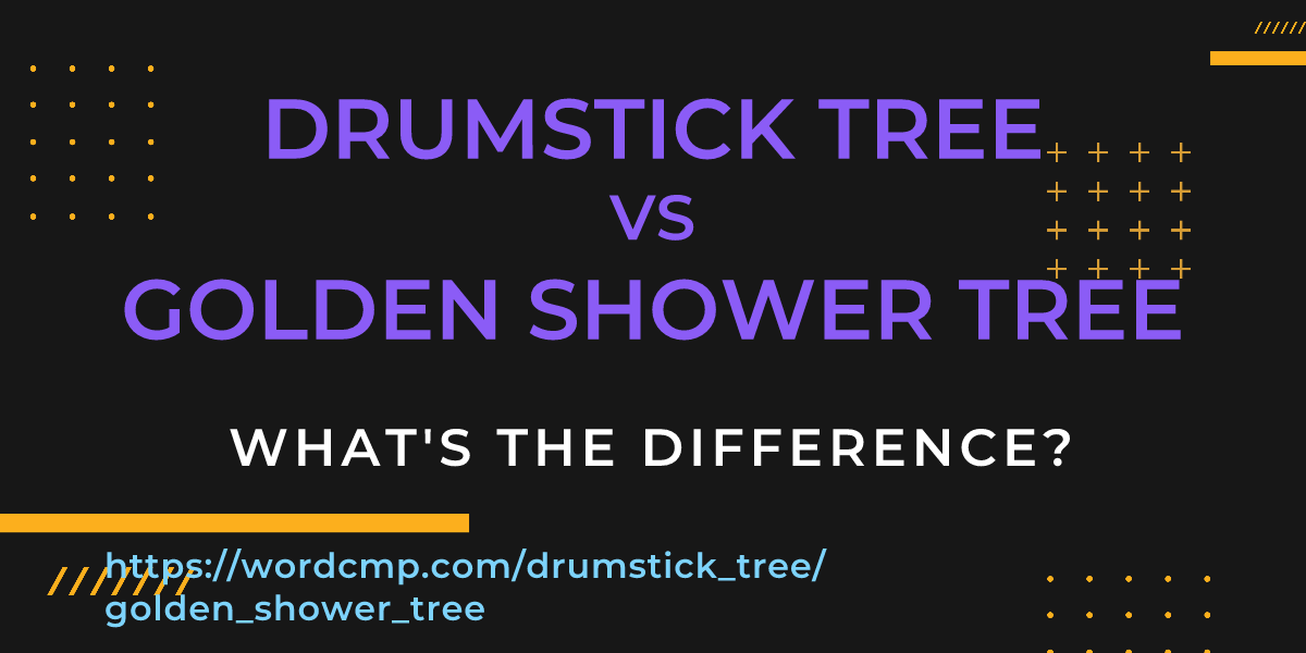 Difference between drumstick tree and golden shower tree