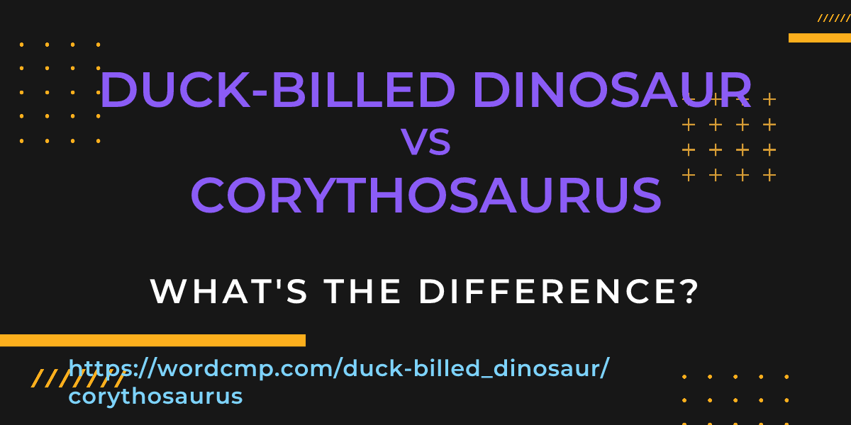 Difference between duck-billed dinosaur and corythosaurus