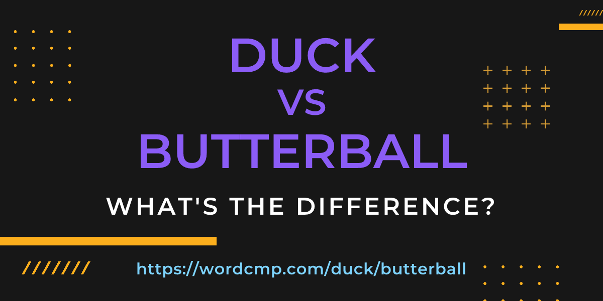 Difference between duck and butterball