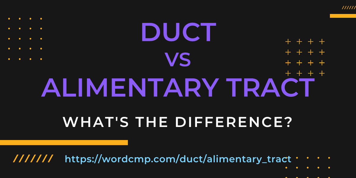 Difference between duct and alimentary tract
