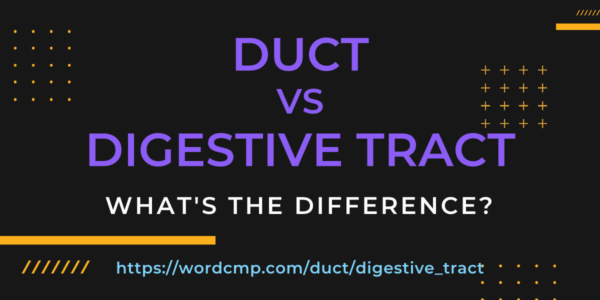 Difference between duct and digestive tract