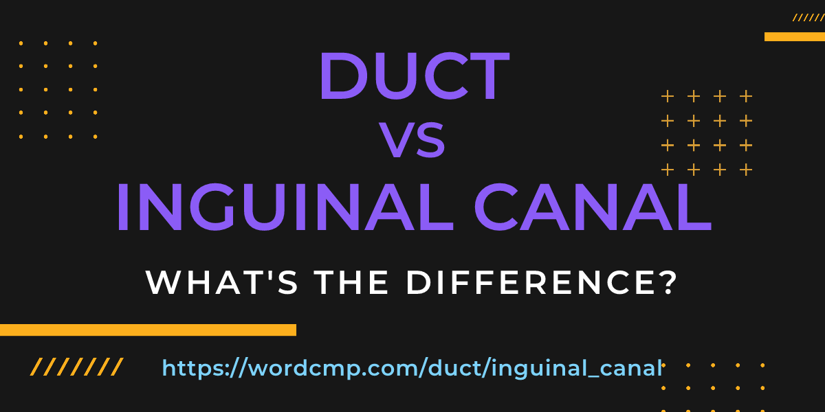 Difference between duct and inguinal canal