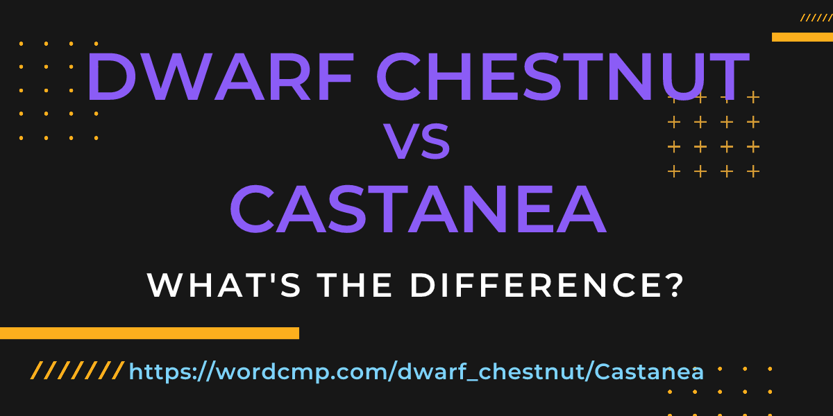 Difference between dwarf chestnut and Castanea