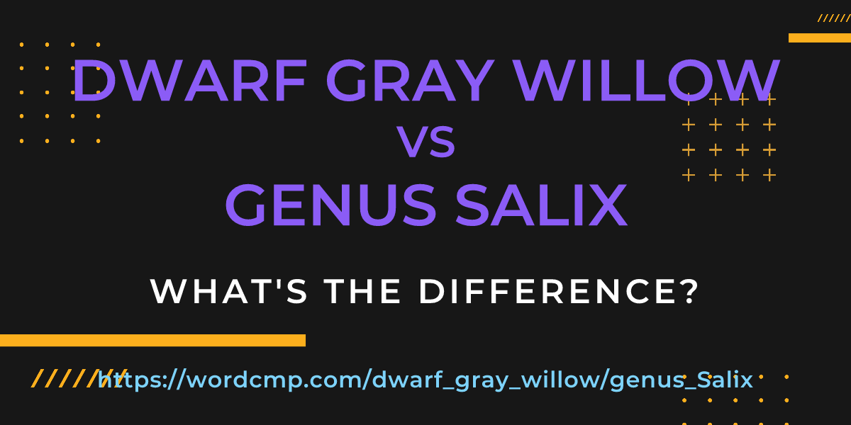 Difference between dwarf gray willow and genus Salix